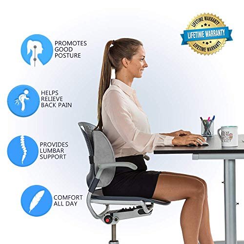Comfilife Lumbar Support Back Pillow Office Chair And Car Seat Cushion -  Memory Foam With Adjustable Strap And Breathable 3D Mesh (Gray) - Imported  Products from USA - iBhejo