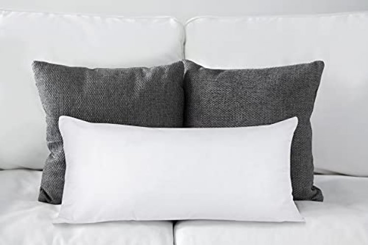 Utopia Bedding Throw Pillows Insert (Pack of 2, White) - 20 x 20 Inches Bed  and Couch Pillows - Indoor Decorative Pillows