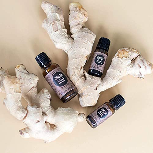 Edens Garden Ginger Essential Oil, 100% Pure Therapeutic Grade (Undiluted  Natural Aromatherapy- 10 ml
