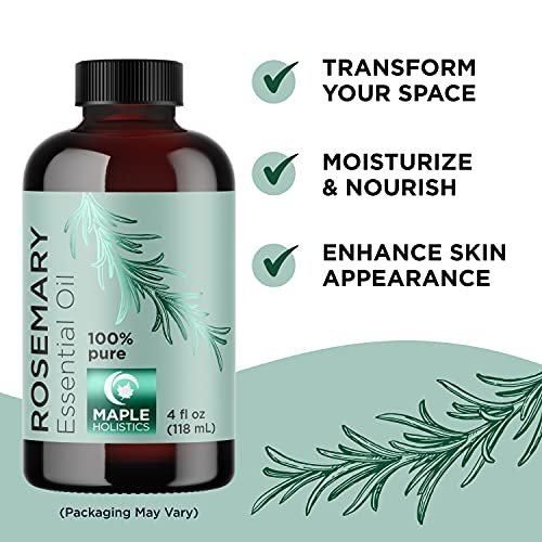 Pure Rosemary Oil for Hair and Body - Maple Holistics Rosemary Essential Oil  for Skin and Hair Oil for Scalp - Natural Aromatherapy Essential Oils for  Diffusers and Humidifiers, 1 fl oz 