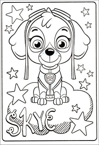 Paw Patrol Coloring Books - 2 Pack