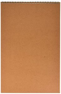  Strathmore (400-6 400 Series Drawing, Medium Surface, 12x18,  24 Sheets , White : Arts, Crafts & Sewing