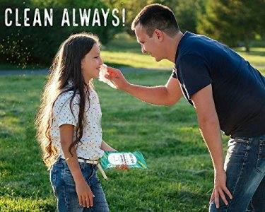 Go on the Go Flushable Wet Wipes for Travel - Biodegradable, Alcohol-Free, with Soothing Aloe and Calendula - 12 Packs of 15 Wipes Each (180 Wipes To