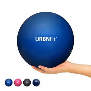  STOTT PILATES Mini Stability Ball (Blue), 7.5 Inch