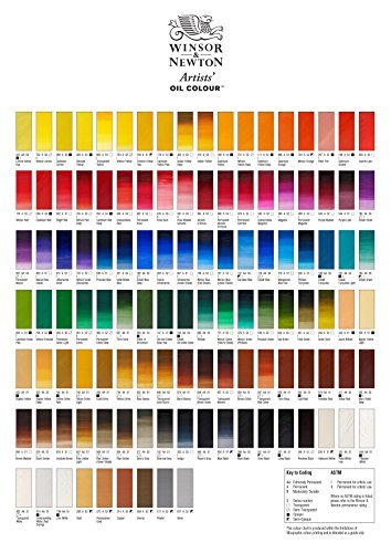 ABEIER Iridescent Acrylic Paint, Set of 18 Chameleon Colors, 2 oz/60ml  Bottles
