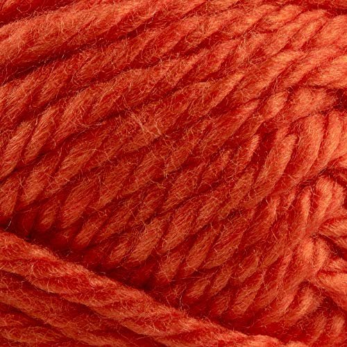 Lion Brand Yarn Hometown Yarn, Bulky Yarn, Yarn for Knitting and  Crocheting, 1-Pack, Syracuse Orange