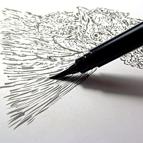 Pocket Brush Pen with 2 Black Refills