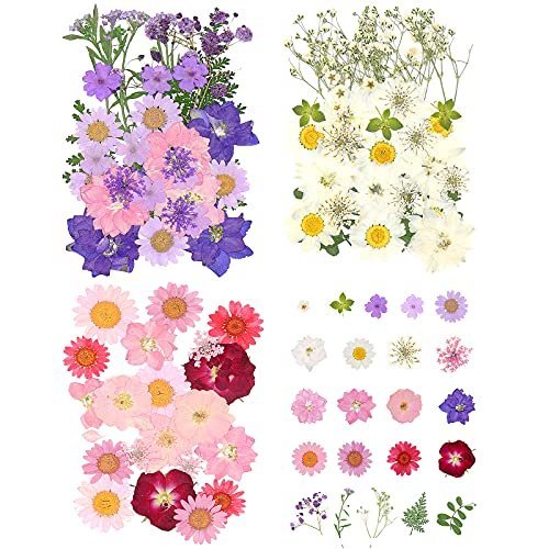 Dreamtop 85 Pcs Pressed Dried Flowers for Resin Real Pressed Dry Flowers  for Resin Natural Dried Flower kit for Resin Candle Soap Jewelry Making,  Scr - Imported Products from USA - iBhejo