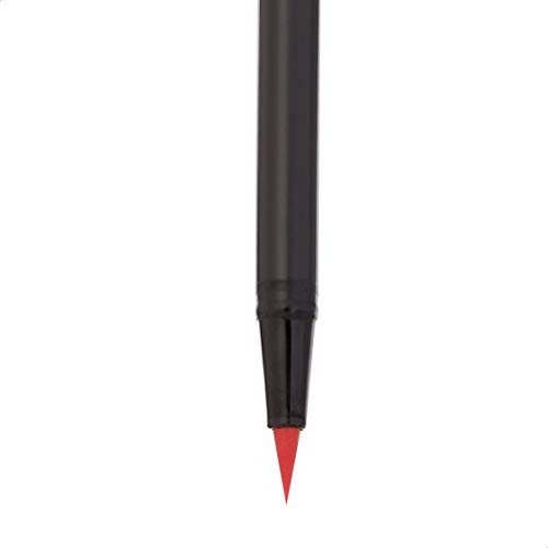   Basics Dual Tip Brush Pens - Blendable, Nylon Brush and  Fine Tip, 24-Pack, Assorted