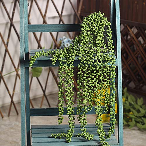CEWOR 4pcs Artificial Succulents Hanging Plants Fake String of Pearls for  Wall Home Garden Decor (24 Inches Each Length) - Imported Products from USA  - iBhejo