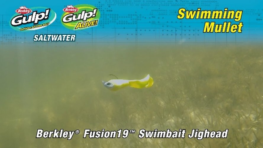 Berkley Gulp! Alive! Swimming Mullet Fishing Bait, 4In, Pink - Imported  Products from USA - iBhejo