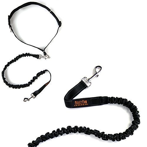 Mighty paw outlet leash