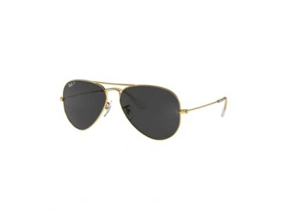 Ray Ban RB3025 919648 55MM Legend Gold / Black Polarized Pilot Sunglasses for Men for Women + FREE Complimentary Eyewear Kit