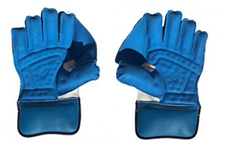 SS Catcher Premium Cricket Wicket Keeping Gloves , Mens Size (Blue)