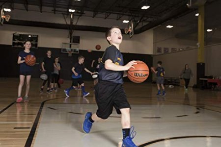 Wilson Evolution Indoor Game Basketball, Official (29.5