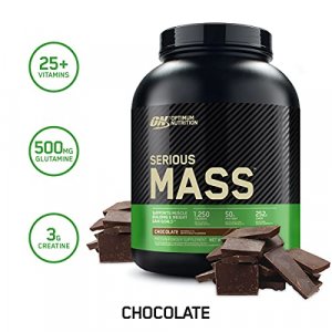 Optimum Nutrition Serious Mass Weight Gainer Protein Powder, Chocolate, 6 Pound