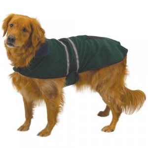 Casual Canine Fleece-Lined Reflective Dog Jacket For Safety, Red, Xx-Large
