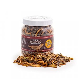 Fluker'S 72021 Bearded Dragon Medley Treat Food, 1.8-Ounce