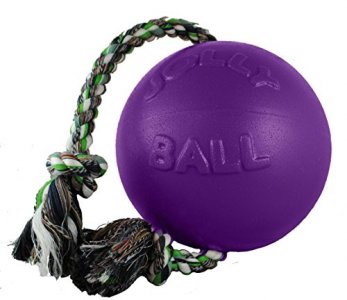 Jolly Pets Romp-n-Roll Rope and Ball Dog Toy, 4.5 Inches/Small, Purple, 4.5-Inch Romp-n-Roll, Purple