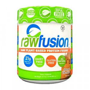 SAN Raw Fusion Natural Chocolate, 16.4 Oz