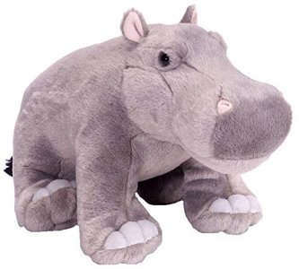 Plush Koala Bear 11 Inch Stuffed Animal Cuddlekin By Wild Republic at  Stuffed Safari