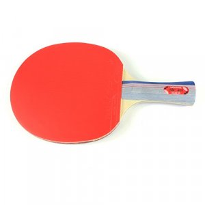 Butterfly 401 Table Tennis Racket Set - 1 Ping Pong Paddle 1 Ping Pong Paddle Case - ITTF Approved Table Tennis Paddle - Ships in Ping Pong Racket Gi