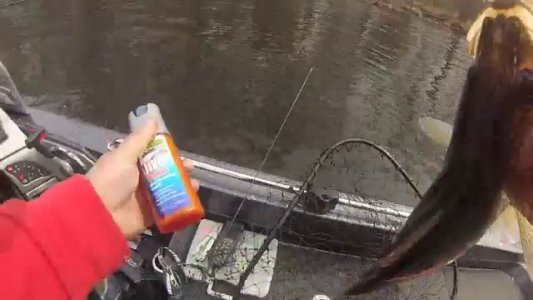 Baitmate Live Gamefish Scent Fish Attractant, 5 Fluid-Ounce