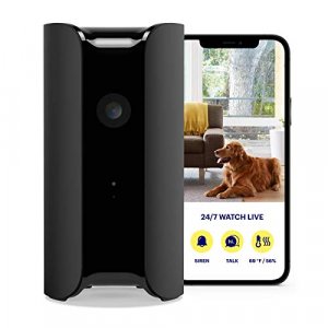 CANARY (CAN100USBK) All-in-One Indoor 1080p HD Security Camera with Built-in Siren and Climate Monitor, Motion / Person / Air Quality Alerts, Works w