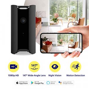 CANARY (CAN100USBK) All-in-One Indoor 1080p HD Security Camera with Built-in Siren and Climate Monitor, Motion / Person / Air Quality Alerts, Works w