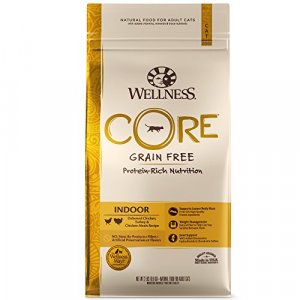 Wellness CORE Grain-Free Indoor Formula Dry Cat Food, 2 Pound Bag