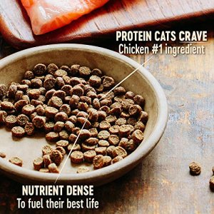 Wellness CORE Grain-Free Indoor Formula Dry Cat Food, 2 Pound Bag