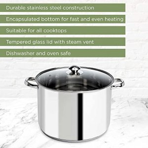 Ecolution Pure Intentions Stock Pot 12 Quart - Vented Tempered Glass Lid - Stainless Steel
