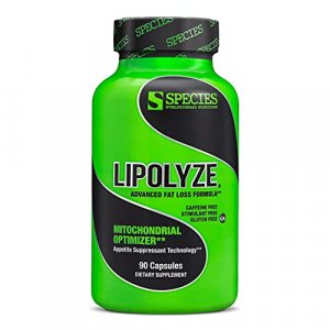 Species Nutrition Lipolyze Stimulant Free Fat Burner,African Mango & Alpha Lipoic Acid,Advanced Fat Loss Formula,Gluten Free Caps,Daytime,90 Count