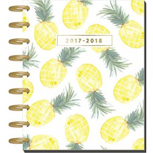 me & my BIG ideas Create 365 The Happy Planner, Flamingos, Jul 2017 - Dec 2018