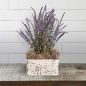 FloraCraft Spanish Moss 8 Ounce Natural