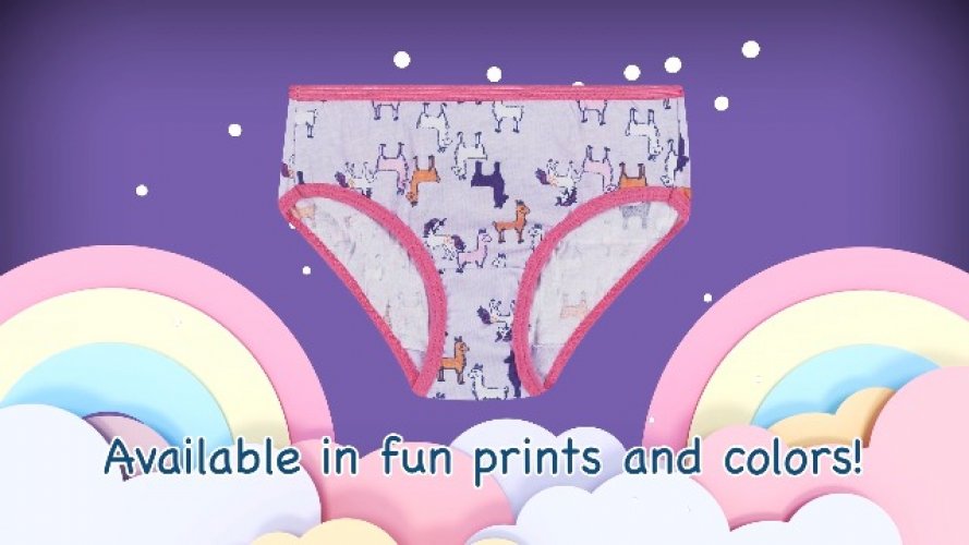 Hanes Big Girl'S Cotton Brief Underwear, 6 Pack - Assorted Color