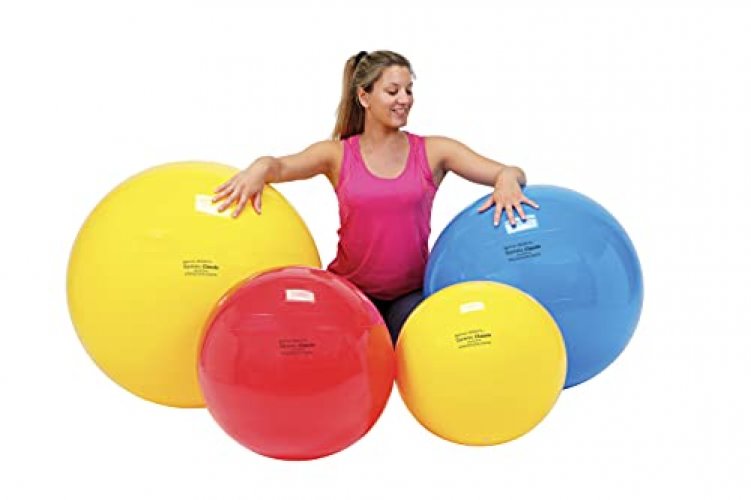 Gymnic Physio Exercise Ball, Blue (95 cm) - Imported Products from