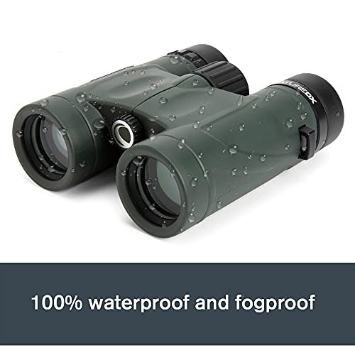 Celestron Nature Dx 10X32 Binoculars Outdoor And Birding Binocular