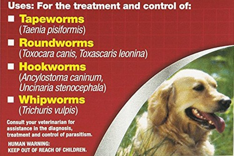 8in1 safe 2024 guard canine dewormer