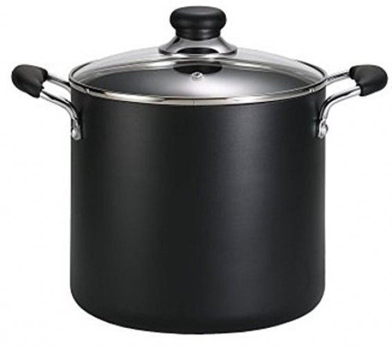 Ecolution 6 Qt. Stainless Steel Stock Pot Encapsulated Bottom Matching  Tempered