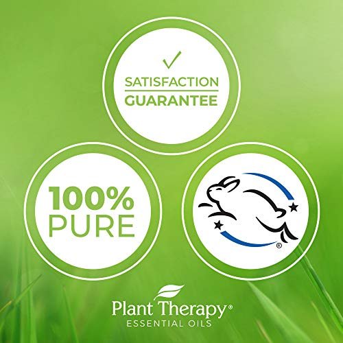 Plant Therapy Lavender Fine Organic Essential Oil 10 ml (1/3 oz) 100% Pure