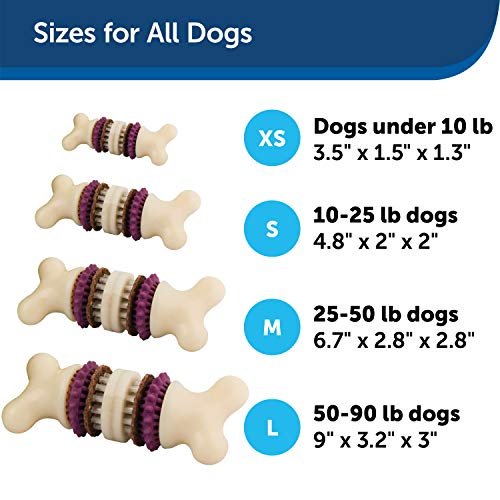 Busy buddy bristle bone dog cheap toy