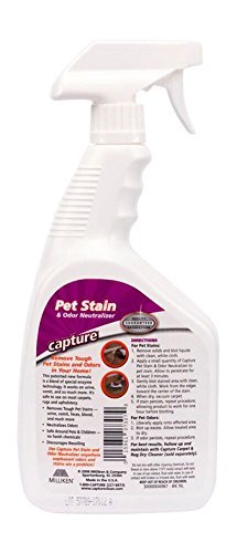 Capture pet stain hot sale and odor neutralizer