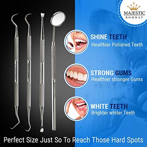 6 Pack Dental Tools, Professional Dentist Tool Hygiene Kit, Stainless Steel  Tooth Scraper Cleaning Plaque and Tartar Remover for Teeth, Dental Picks  Scaler Oral Care Tools Set (with Case) 6 Pack Dental