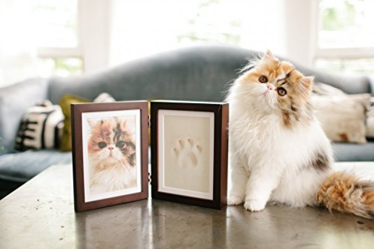  Pearhead Dog or Cat Pawprint Tabletop Photo Frame With