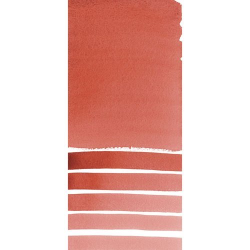 Daniel Smith 284600224 Extra Fine Watercolor 15ml Paint Tube, Anthraquinoid  Scarlet, 0.5 Fl Oz (Pack of 1), 5 - Imported Products from USA - iBhejo