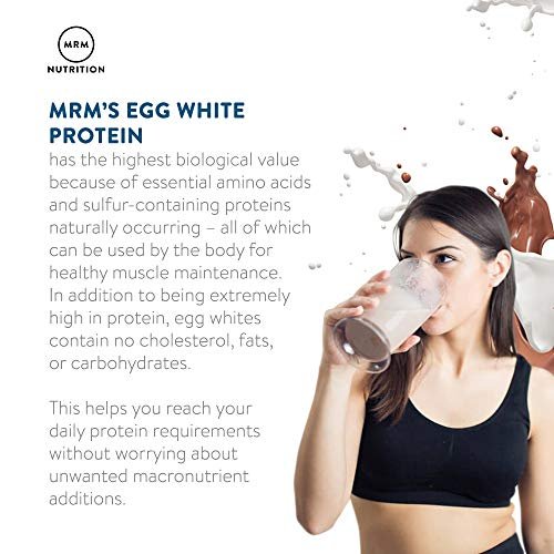 Muscle egg nutrition