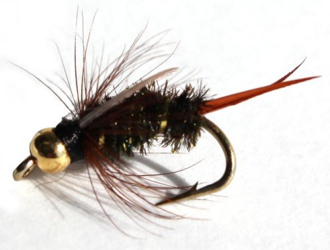 Flies Direct Bh Prince Nymph Assortment Trout Fishing Flies (1-Dozen),  Black - Imported Products from USA - iBhejo