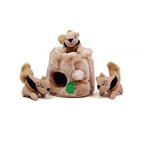 squirrel plush dog toy