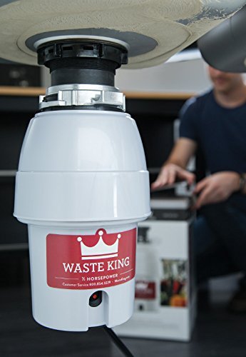 Waste king on sale garbage disposal